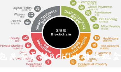 imToken钱包是否支持BCH（比特币现金）？详尽解析
